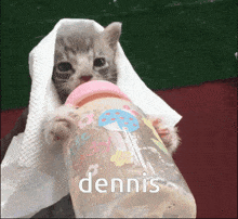 Dennis Hai Dennis GIF - Dennis Hai Dennis Cat GIFs