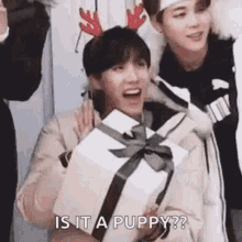 Is It A Puppy Jhope GIF