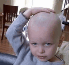 Bald Idiot Bald GIF - Bald Idiot Bald Bald Baby GIFs