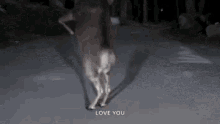 love you dance deer squirrel forest