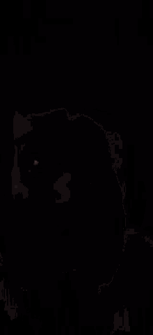 a man with a beard is making a funny face with his mouth open in the dark .