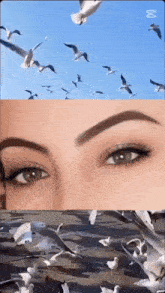 a woman 's eyes are surrounded by seagulls flying in the sky ..