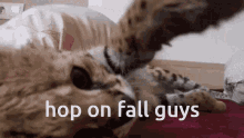 Fall Guys Hop On Fall Guys GIF - Fall Guys Hop On Fall Guys Serval GIFs