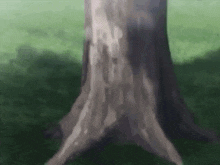 a close up of a tree trunk in a field with a blurred background .