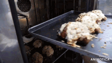 a tray of food is being pulled out of an oven and the words made in animatica are visible