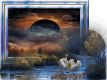 a picture of two swans in a river with the words fijne avond at the bottom