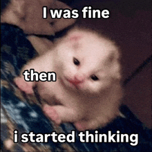 a picture of a kitten with the caption i was fine then i started thinking