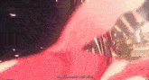 Sparkle Trailblazer GIF