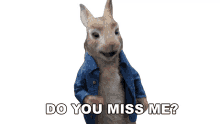 do you miss me peter rabbit peter rabbit2the runaway im back did everyone miss me