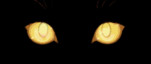 Gold Eyes GIF - Gold Eyes Cat GIFs