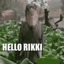 Hello Rikki GIF - Hello Rikki GIFs