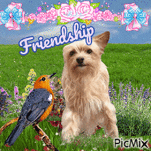 Picmix Dog GIF - Picmix Dog Bird GIFs