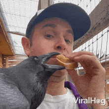 Let Me Have A Bite Raven GIF - Let Me Have A Bite Raven Viralhog GIFs