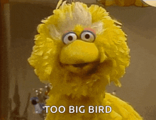 Big Bird Sesame Street GIF - Big Bird Sesame Street Yellow GIFs