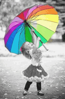 Rain Umbrella GIF
