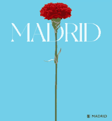 Madrid Amor GIF - Madrid Amor Love GIFs