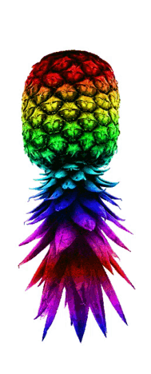 pineapple upside down rainbow