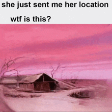 she just sent me her location wtf is this ? a painting of a landscape with a pink sky