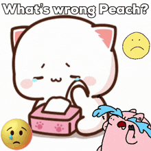 Peach Sad Hurting GIF - Peach Sad Hurting Whats Wrong GIFs