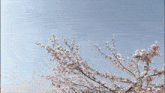 two birds are flying over a tree with flowers