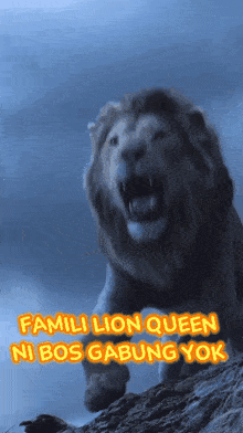 Familly GIF - Familly GIFs