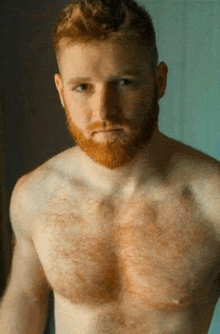 a shirtless man with a red beard is standing in front of a mirror .