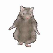 kreed rat