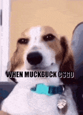 muckbuck guam
