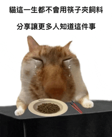 Sad Cat Chinese Blyat Yopta Ebal Syka Naxuy Sadly Verysad GIF