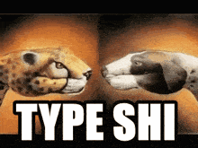 a cheetah and a dog are looking at each other with the words type shi written above them