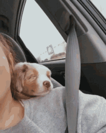 Puppy Dog GIF - Puppy Dog Sleep GIFs