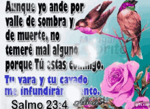Salmo23 Amen GIF - Salmo23 Amen Bird GIFs