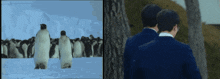 a group of penguins are walking in the snow next to a tree