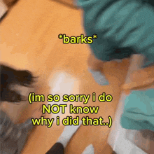 a picture of a person laying on the floor with the words " barks " above them