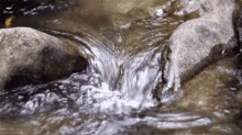 River Nature GIF - River Nature Water GIFs