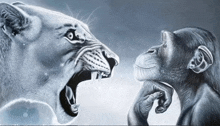 a lion and a chimpanzee are looking at each other with their mouths open