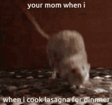 Your Mom When I Lasagna GIF - Your Mom When I Lasagna Rat GIFs
