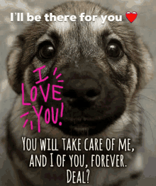 Love You Puppy GIF - Love You Puppy Dog GIFs