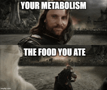 Metabolism Food You Ate GIF