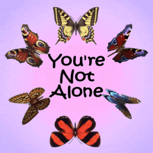 Youre Not Alone You Are Not Alone GIF - Youre Not Alone You Are Not Alone Hang In There GIFs