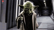 Yoda Ready GIF - Yoda Ready Starwars GIFs