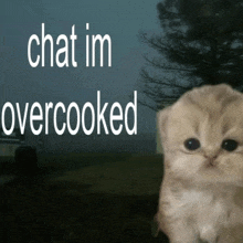 a picture of a kitten with the words chat im overcooked behind it