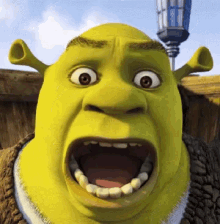 Shrek Distorted GIF - Shrek Distorted GIFs