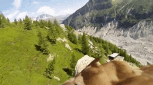 Flying Eagle Point Of View GIF - Birds Eagle GIFs