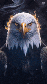 a bald eagle with fire coming out of its beak