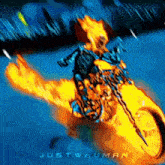 a cartoon of a ghost rider riding a motorcycle with the words just human written below him