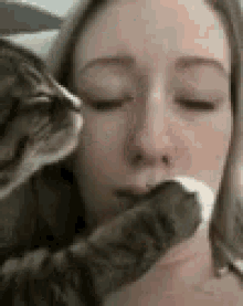 Kiss Me Cat GIF - Kiss Me Cat GIFs