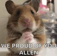 a picture of a hamster with the words we proud of you allen below it