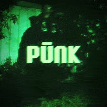 a green background with the word punk written on it