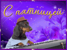 a dachshund wearing a hat is playing a piano keyboard